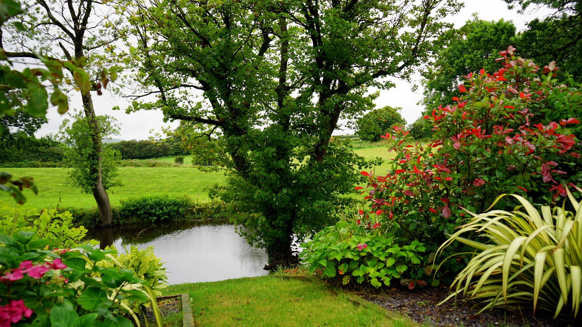 een bijvriendelijke tuin